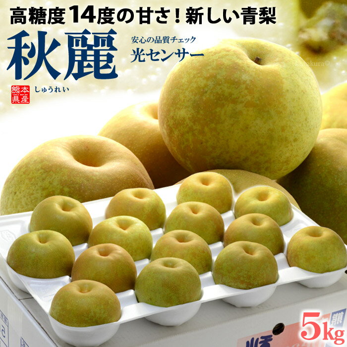 秋麗梨(12-14玉前後/約5kg)熊本産 青梨の新品種 高糖度和梨 食品 フルーツ 果物 和梨 送料無料