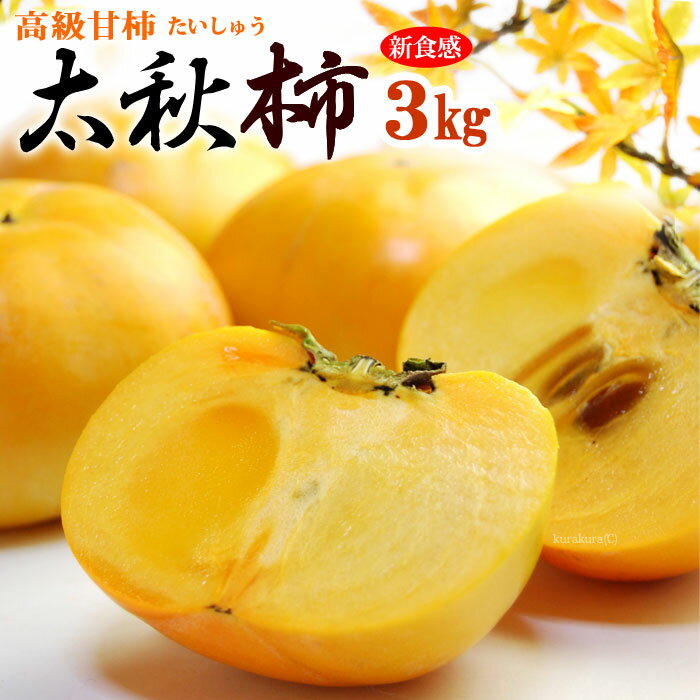 太秋柿 (約3kg) 熊本・愛媛・福岡産 秀品 たいしゅうがき 柿 かき カキ persimmon 高級 甘柿 食品 フルーツ 果物 柿 ギフト 贈答 お供え 御供え 送料無料のサムネイル