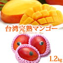 マンゴー 台湾マンゴー (3-4玉/約1.2kg) 台湾産 アーウィンマンゴー 愛文 マンゴー マンゴ まんごー taiwan mango 台灣芒果 日本向け栽培 食品 フルーツ 果物 マンゴー アップルマンゴー ギフト 贈答 御供え お供え 送料無料