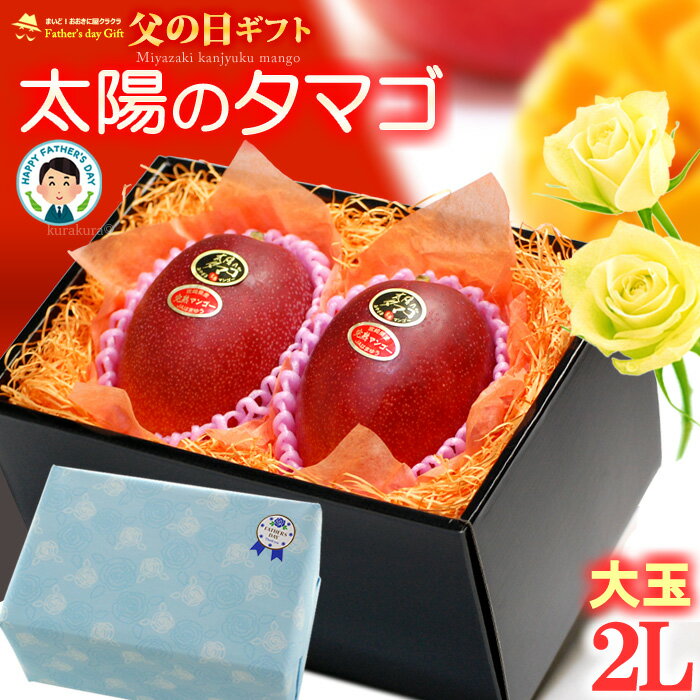 父の日 ギフト 太陽のタマゴ 2L 2玉/約700g 宮崎産 秀品 父の日ギフト 太陽のたまご 宮崎 宮崎マンゴー 完熟マンゴー 国産マンゴー アップルマンゴー アーウィン種 mango まんごー ギフト 贈答…