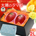父の日 ギフト 太陽のタマゴ (2L×2玉/約700g) 宮崎産 赤秀〜青秀 2025年 父の日ギフト 太陽のたまご 宮崎 宮崎マンゴー 完熟マンゴー 国産マン...