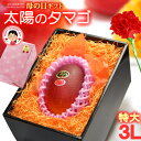 母の日 ギフト 太陽のタマゴ (3L×1玉/約450g) 宮崎産 赤秀〜青秀 太陽のたまご 太陽の卵 たいようのたまご 2025 母の日ギフト 宮崎 完熟マンゴ...