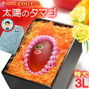 父の日 ギフト 太陽のタマゴ (3L×1玉/約460g) 宮崎産 赤秀〜青秀 2025年 父の日ギフト 太陽のたまご 宮崎 宮崎マンゴー 完熟マンゴー 国産マン...
