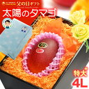 父の日 ギフト 太陽のタマゴ (4L×1玉/約510g) 宮崎産 秀品 父の日ギフト 太陽のたまご 宮崎 宮崎マンゴー 完熟マンゴー 国産マンゴー アップルマンゴー アーウィン種 mango まんごー ギフト 贈答 国産 完熟 高糖度 甘い 食品 フルーツ 果物 マンゴー ラッピング 送料無料