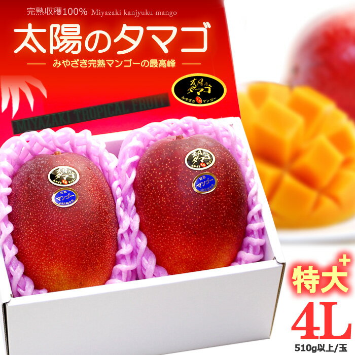 太陽のタマゴ 4L 2玉/約1.2kg 宮崎産 秀品 太陽のたまご たいようのたまご 宮崎完熟マンゴー 国産マンゴー アップルマンゴー アーウィン種 ギフト 贈答 国産 完熟 マンゴー 高糖度 甘い 食品 …