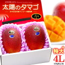 太陽のタマゴ 4L 2玉/約1.2kg 宮崎産 秀品 太陽のたまご たいようのたまご 宮崎完熟マンゴー 国産マンゴー アップルマンゴー アーウィン種 ギフト 贈答 国産 完熟 マンゴー 高糖度 甘い 食品 …