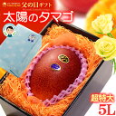 父の日 ギフト 太陽のタマゴ (5L×1玉/約650g) 宮崎産 秀品 父の日ギフト 太陽のたまご 宮崎 宮崎マンゴー 完熟マンゴー 国産マンゴー アップルマンゴー アーウィン種 mango まんごー ギフト 贈答 国産 完熟 高糖度 甘い 食品 フルーツ 果物 マンゴー ラッピング 送料無料