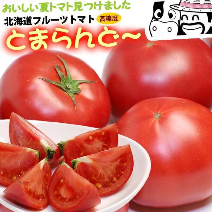 とまらんど〜 (約900g) 北海道産 フルーツトマト とまと トマト tomato JAながぬま 夏 糖度8度以上 高糖度 甘い 食品 野菜 きのこ トマト 送料無料