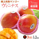 ヴィーナスマンゴー (3玉前後/約1.2kg) メキシコ産 メキシコマンゴー マンゴー ヘイデン ケント mango 輸入 高糖度 甘い 高級 食品 フルーツ 果物 マンゴー ギフト 贈答 御供え お供え 送料無料