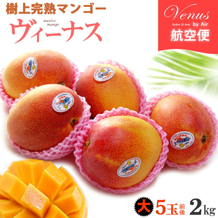 ヴィーナスマンゴー (5玉前後/約2kg) メキシコ産 メキシコマンゴー マンゴー ヘイデン ケント mango 輸入 高糖度 甘い 高級 食品 フルーツ 果物 マンゴー ギフト 贈答 御供え お供え 送料無料