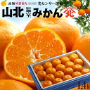 みかん ハウスみかん 山北みかん (約1.4kg) 高知産 山北温室みかん 温室みかん 秀品 S M 小玉 光センサー ハウス栽培 温室みかん部会 mandarin orange 高糖度 食品 フルーツ 果物 みかん 温州みかん ミカン 蜜柑 化粧箱 ギフト 贈答 お中元 御中元 御供え お供え 送料無料