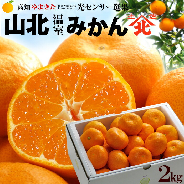 ϥߤ ̤ߤ (2kg) λ ̲ߤ ߤ  S M  󥵡 ϥ ߤ mandarin orange  ե롼 ʪ ߤ ߤ ߥ ̪ Ȣ ե £ 渵 渵 涡  ̵