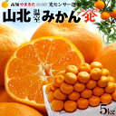 ハウスみかん 山北みかん (約5kg) 高知産 山北温室みかん 温室みかん 秀品 S M 小玉 5キロ 光センサー ハウス栽培 温室みかん部会 mandarin orange 食品 フルーツ 果物 みかん 温州みかん ミカン 蜜柑 化粧箱 ギフト 贈答 お中元 御中元 御供え お供え 送料無料(4)