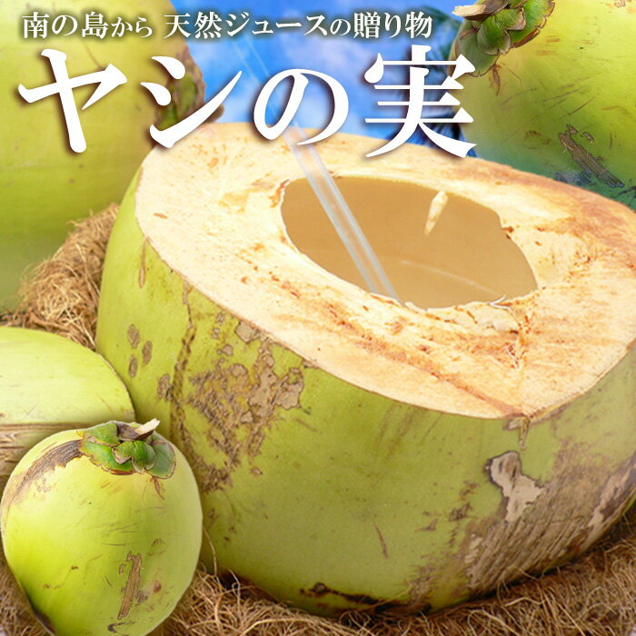 ヤシの実(5玉)フィリピン産 ココナッツ ヤシノミ やしの実 椰子の実 ココヤシ ジュース 送料無料