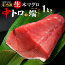 訳あり 生本マグロ 中トロ 背側の端(頭側 尻尾側) ブロック (約1kg) 国産 (主に 鹿児島産 長崎産 高知産) 蓄養 ご家庭用 生まぐろ 生マグロ 生鮪...