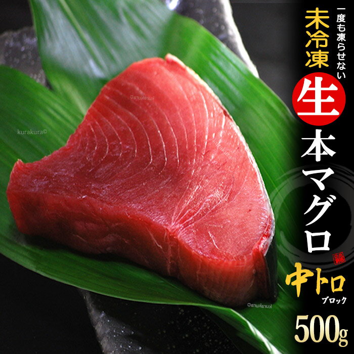 【ふるさと納税】B13-012 【希少部位】マグロのホホ肉1kg（加熱用）