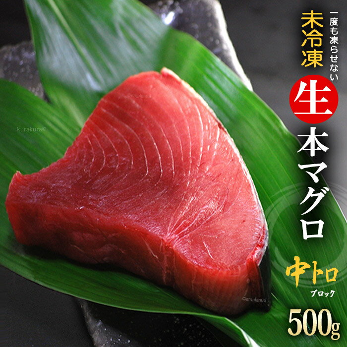 生本マグロ 中トロブロック(約500g)国産(主に鹿児島 長崎 高知)蓄養 生まぐろ 中トロ 中とろ 本まぐろ 本鮪 まぐろ マグロ まぐろ 鮪 食品 魚介類 水産加工品 マグロ トロ 送料無料