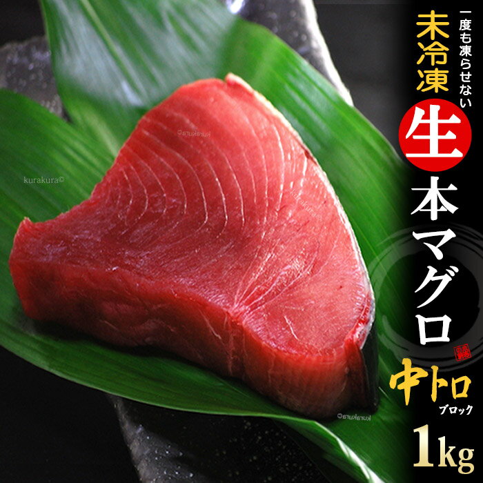生本マグロ 中トロ ブロック (約1kg) 国産 (主に 鹿児島産 長崎産 高知産) 蓄養 生まぐろ 生マグロ 生鮪 中トロ 中とろ 生本まぐろ 本まぐろ 本鮪 まぐろ マグロ まぐろ 鮪 食品 魚介類 水産加工品 マグロ トロ ギフト 贈答 送料無料