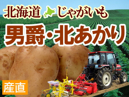新じゃが♪男爵・北あかりお好きな方を（5kg）秋の味覚ジャガイモを北海道より産地直送【送料無料】 男爵・北あかり（どちらか5kg）