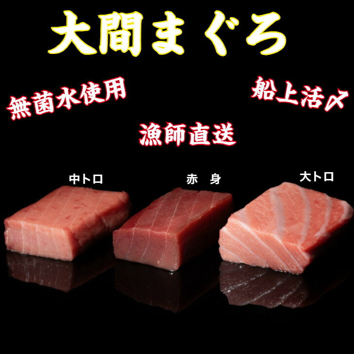 大間まぐろ　大トロ100g大間まぐろ、マグロ、送料無料、お歳暮、お中元、お祝い、贈り物、ギフト