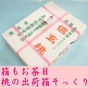 【母の日ギフト】桔梗屋の信玄桃（6個入り）とカーネーション5号鉢のセット