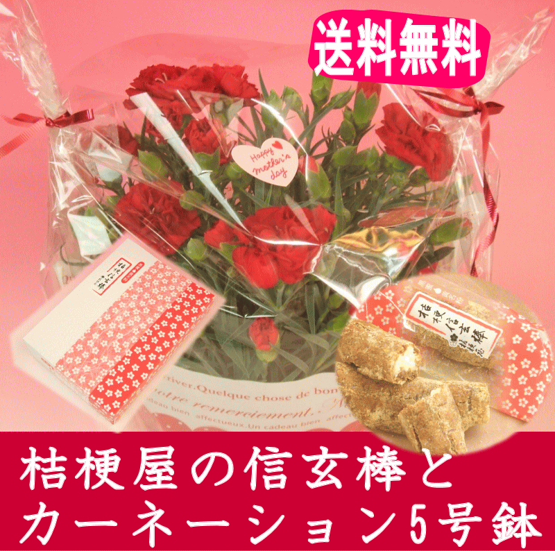 Red - 【遅れてごめんね】【母の日】桔梗屋の信玄棒（10本入り）とカーネーション5号鉢のセット