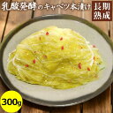 とうざぶ郎・キャベツ本漬け 300g袋入り 【クール便】大森屋 発酵 漬物 キャベツ 本漬け 乳酸菌