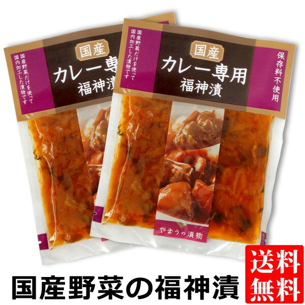 送料無料 メール便 国産野菜のカレー専用 福神漬け 100g 2袋国産 漬物 福神漬 カレーのお供 天然色素 カレーライス ご飯のお供 ポイント消化