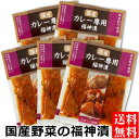 送料無料 メール便 国産野菜のカレー専用 福神漬け 100g 5袋国産 漬物 福神漬 カレーのお供 天然色素 カレーライス ご飯のお供 まとめ買い