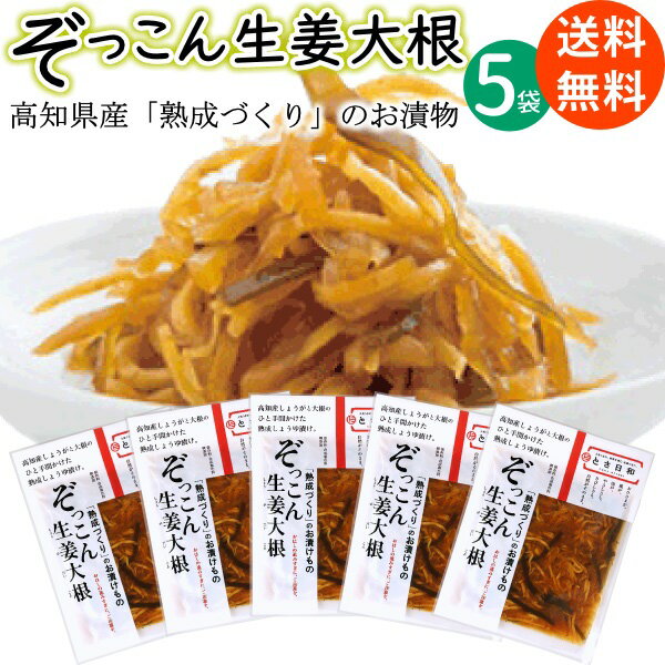 送料無料 メール便 高知産 ぞっこん 生姜大根 80g×5袋 無添加 熟成きざみ 醤油漬け とさ日和国産 国内産 高知県産 高知 高知県 ショウガ 漬け物 漬物 ご飯のおとも