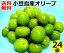 小豆島産 オリーブ新漬け 100g×24袋 送料込み小豆島 香川県 新漬 オリーブ 国産 塩漬け 季節 限定 漬物 送料無料 まとめ売り