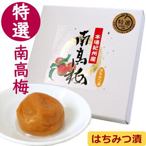 紀州 南高梅 はちみつ 低塩 梅干し ハチミツ 梅干 ( 塩分 5% ) 160g特選 国産 本場 紀州産 和歌山 はちみつ漬け 蜂蜜 うす塩 梅 塩分控えめ お歳暮 ギフト 手土産 プチギフト