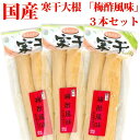 送料無料 メール便 国産 寒干大根漬け ( 梅酢風味 ) 3本セット お試し 漬物 沢庵 たくあん 寒干 大根 梅酢 梅 夏バテ対策 ご飯のお供