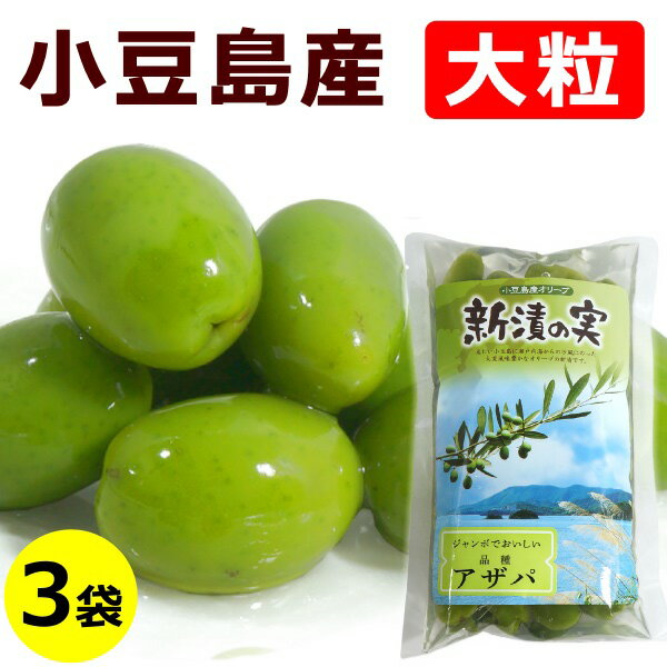 送料無料 小豆島 オリーブ新漬け アザパ種 120g×3袋 大粒 オリーブ 新漬 限定 塩漬け 漬物 国産漬物国産 香川県 香川 オリーブ 新漬 小豆島産 アザパ