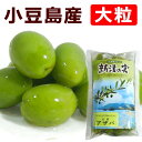 【予約品】 2025年産 小豆島 オリーブ新漬け アザパ種 120g 大粒 オリーブ 新漬 限定 塩漬け 漬物 国産漬物国産 香川県 香川 オリーブ 新漬 小豆島産 アザパ