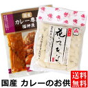 送料無料 メール便 国産 カレー専用 福神漬 & 福井県産 花らっきょう ( 三年子 ) 国産 漬物 福神漬け 福井県 らっきょう 花らっきょ 天然色素 カレーのお供 ご飯のお供