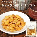 フライビーンズ そら豆 揚げ豆 おつまみ 90g 送料無料 メール便 豆菓子 いかり豆 空豆 ソラマメ むきそら豆 ビールのお供 ちょっぴり嬉しいオツマメ おつ...