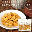 フライビーンズ そら豆 揚げ豆 おつまみ 90g×2袋 送料無料 メール便 豆菓子 いかり豆 空豆 ソラマメ むきそら豆 ビールのお供 ちょっぴり嬉しいオツマメ...