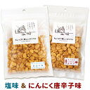 フライビーンズ 2種セット ( 塩味 / にんにく唐辛子味 ) そら豆 揚げ豆 おつまみ 送料無料 メール便 豆菓子 いかり豆 空豆 ソラマメ むきそら豆 ニン...