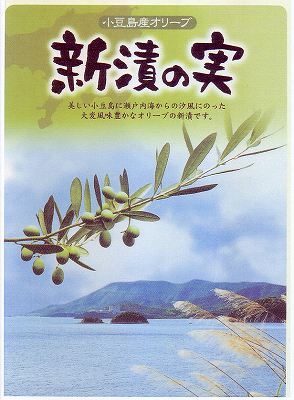 小豆島産 オリーブ新漬け 100g×5袋 送料込み小豆島 香川県 新漬 オリーブ 国産 塩漬け 季節 限定 漬物 送料無料 2