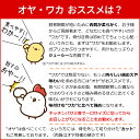 【産直】骨付き鳥 3種 パーティセット 20箱24本分 ( 親鳥 若鶏 各8本 親鳥骨なしカット 4箱8本分 ）骨付鳥 骨付き鶏 骨付鶏 調理済み カット済み おや 親どり わか 若どり 香川県 讃岐 丸亀名物 香川 クリスマス ローストチキン クール便 グルメ りぶや 3