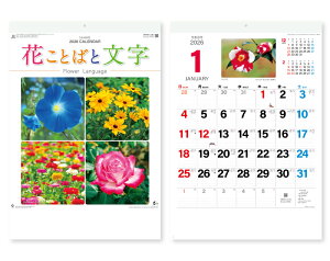 オーケーマート 通販