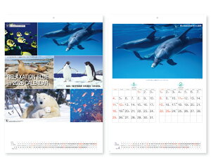 オーケーマート 販売