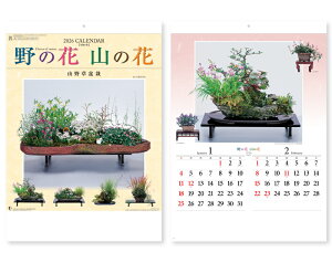 オーケーマート 通販