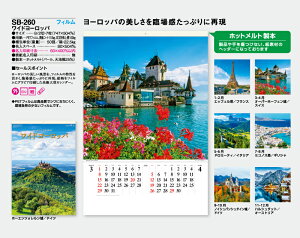 【名入れ50冊】 カレンダー 2023年 壁掛け ワイドヨーロッパ フィルム SB-260 (旧SB-205)名入れ  令和5年 月めくり 月表 送料無料 名入れ SP-95 小ロット 名入無 社名 団体名 自社印刷 名入無 日本 挨拶 開業 年賀 粗品 記念品 イベント 贈答 ギフト【smtb-kd】通販 年賀状印刷 年賀状作成ソフト セール