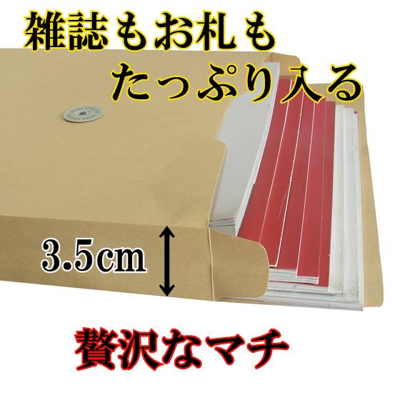 イムラ封筒 封筒 角2 A4 シルバー ハトメ紐付き マチ付き 120g/m2 50枚 BK2-471