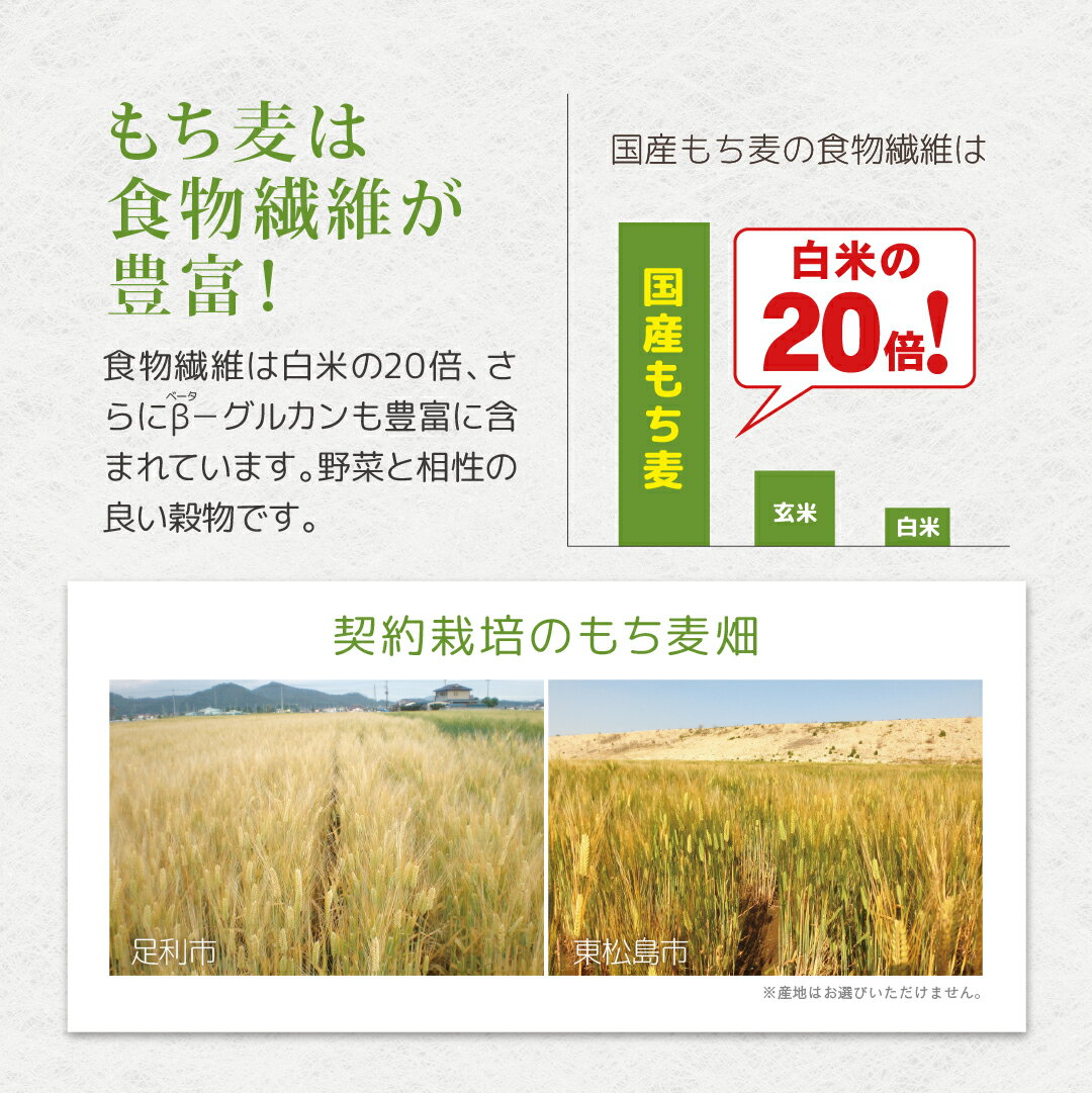 国産もち麦 250g【おおむぎ工房】もち種の麦 発酵性食物繊維 水溶性食物繊維 あさ...