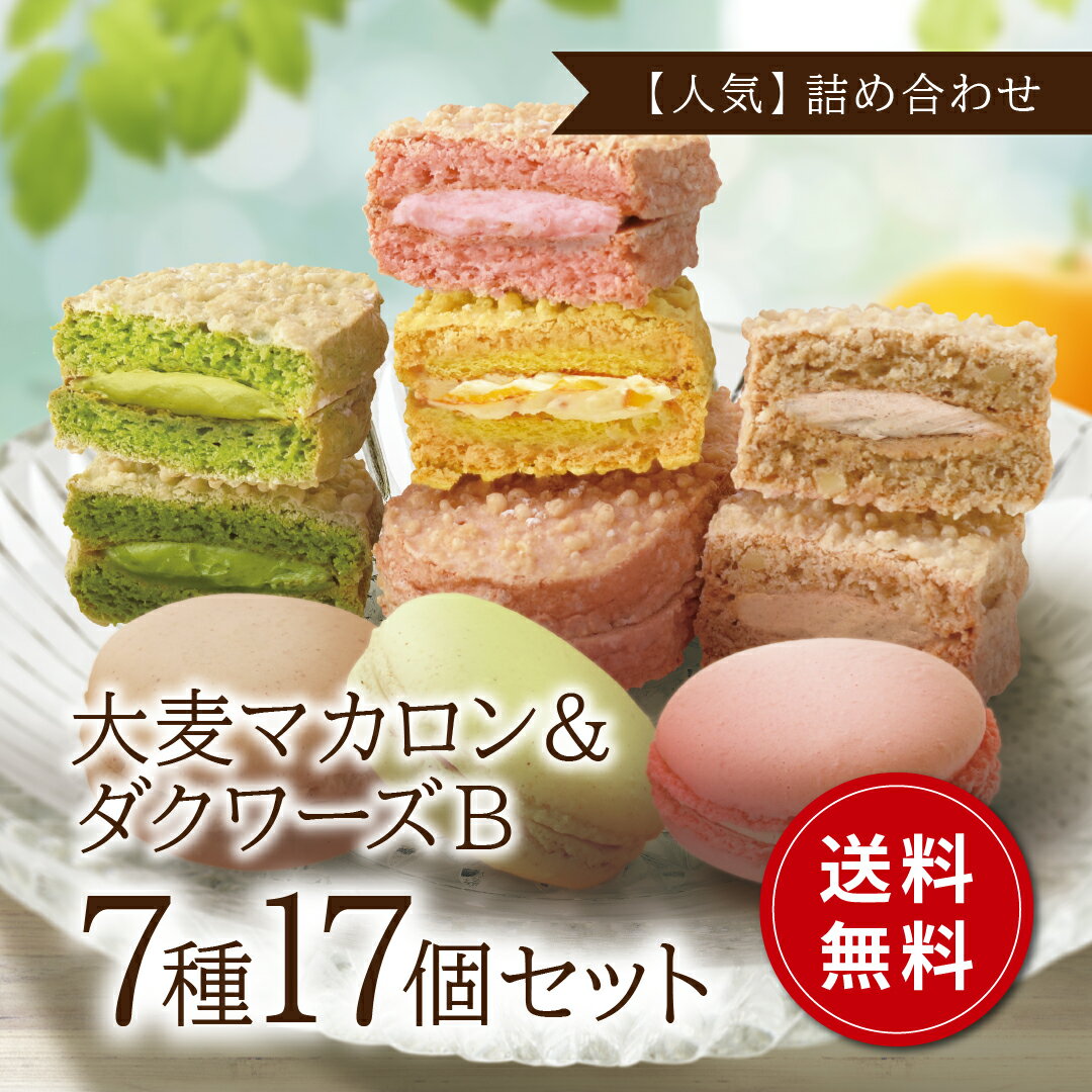 大麦マカロン＆ダクワーズセットB 7種17個入（通常箱）【おおむぎ工房】小麦不使用 グルテンフリー 国産 大麦 ダックワーズ 個包装 モンド スイーツ ギフト お祝い 2