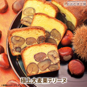 【送料無料】おおむぎ工房(旧:大麦工房ロア) 極上大麦栗テリーヌ 大麦 お歳暮 お年賀ギフト スイーツ 手土産 プレゼント 大人 誕生日 内祝い 結婚 出産 贈り物 グルメ お菓子 栃木 お土産 大麦 食物繊維