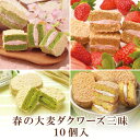 【訳あり】 おおむぎ工房 大麦ダクワーズ 35個入 訳あり ダックワーズ スイーツ 送料無料 焼き菓子 詰め合わせ セール楽天限定 お得 ギフト プレゼント お土産 お徳用 おやつ 日持ち 常温 母の日 父の日